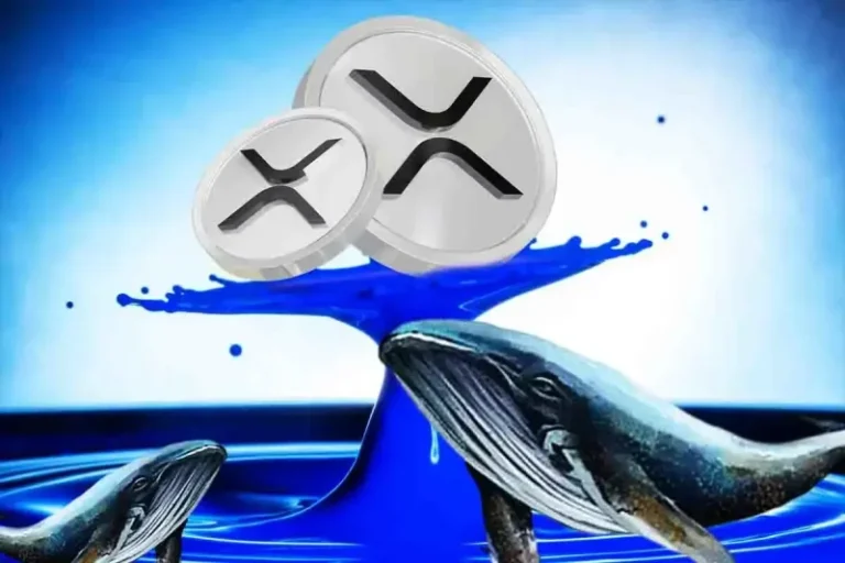 XRP News: Whale Moves 69 Mln Coins As Price Hits Monthly High
